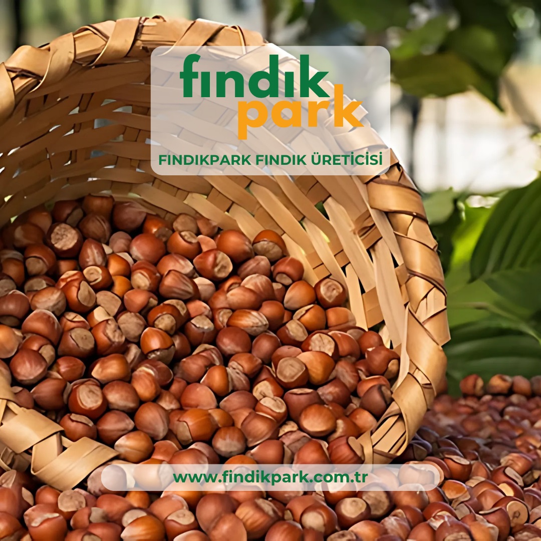 Fındıkpark Fındık Üreticisi