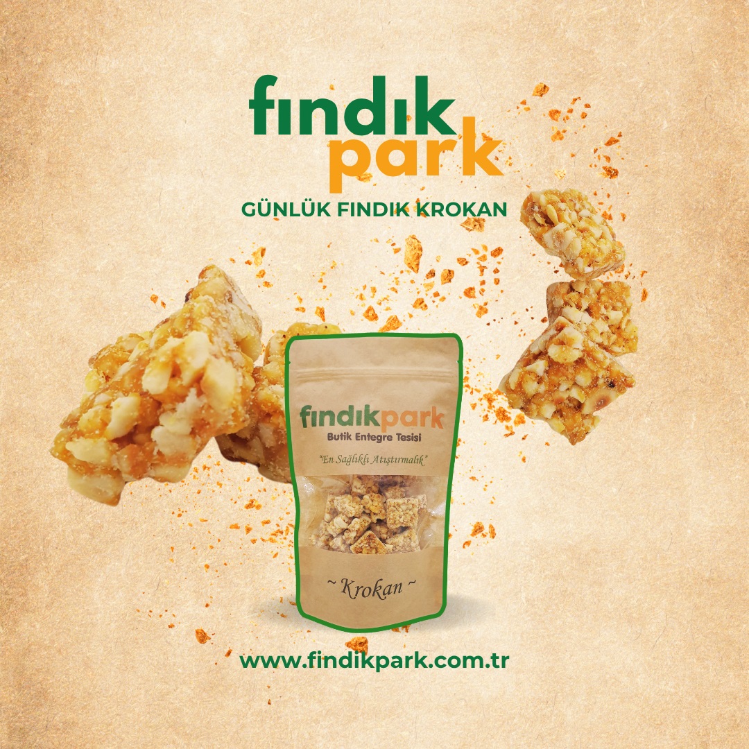 Fındıkparktan Günlük Fındık Krokan