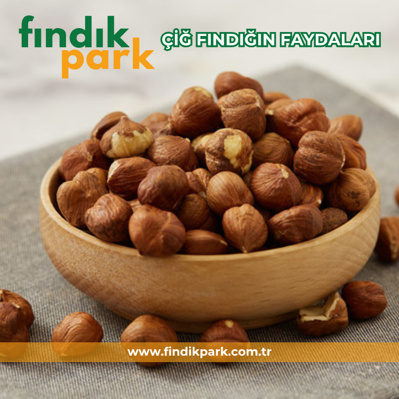 ÇİĞ FINDIĞIN FAYDALARI