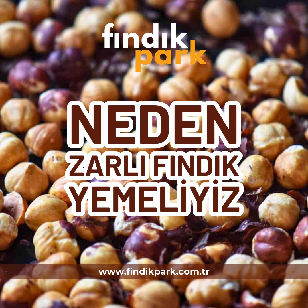 Neden Zarlı Fındık Yemeliyiz